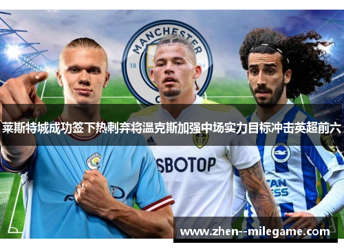 莱斯特城成功签下热刺弃将温克斯加强中场实力目标冲击英超前六 莱斯特城成功签下热刺弃将温克斯加强中场实力目标冲击英超前六